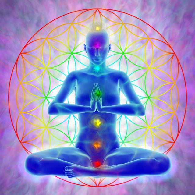 Meditation - flower of life